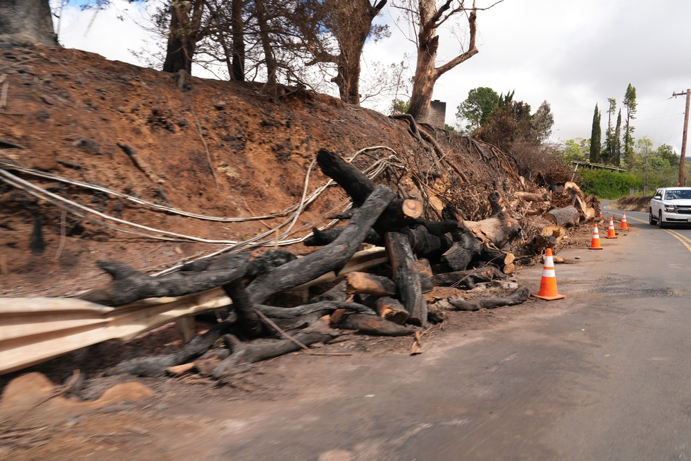 Maui Wildfire Damage