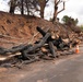 Maui Wildfire Damage