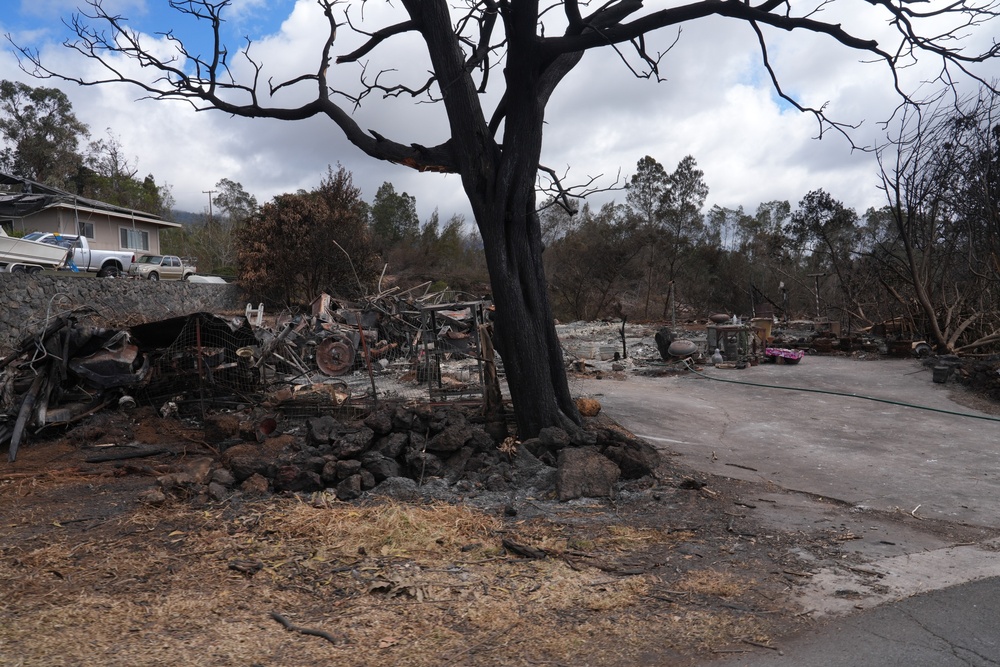 Maui Wildfire Damage