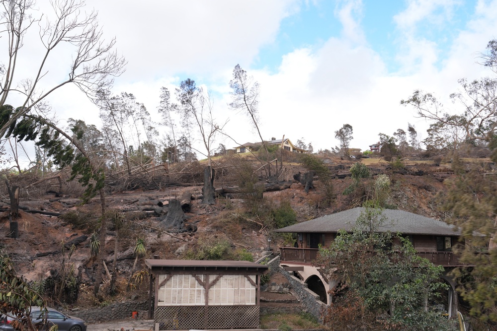 Maui Wildfire Damage