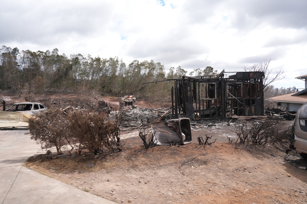 Maui Wildfire Damage