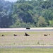 Wisconsin Army National Guard Soldiers conduct airshow 'dress rehearsal' event at Fort McCoy