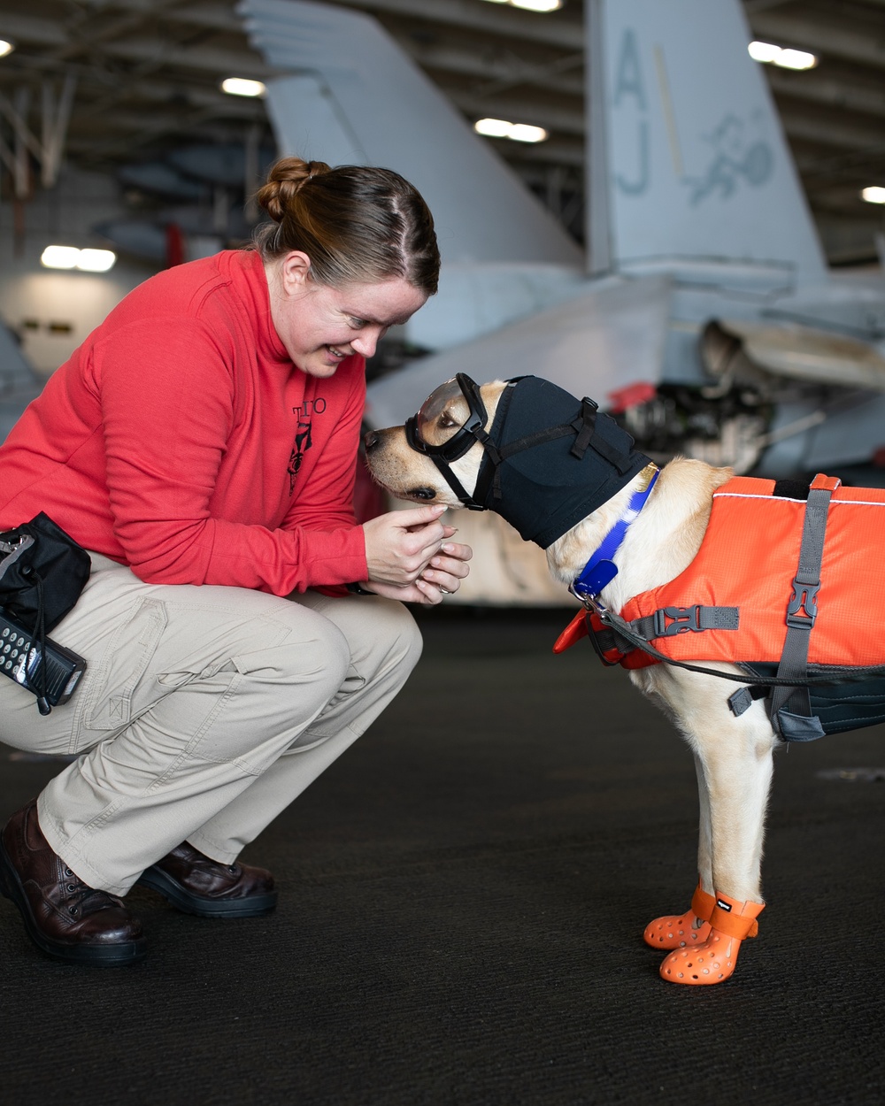 Sage, Mutts with a Mission