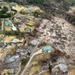 Overview of Maui Wildfire Damage