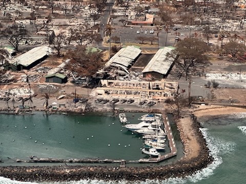 Overview of Maui Wildfire Damage