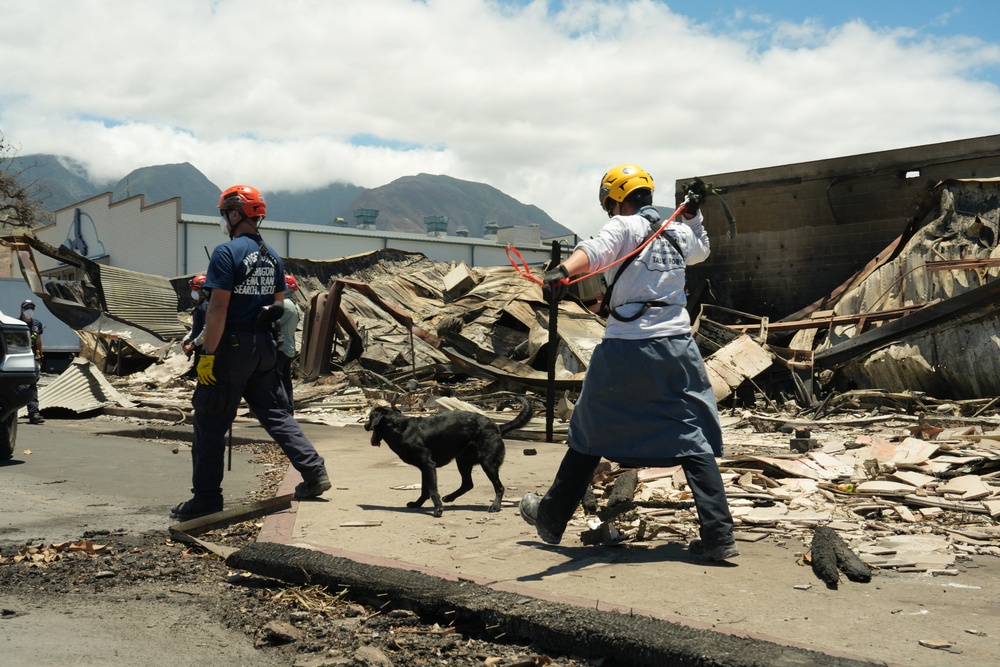 FEMA Urban Search and Rescue Continues Response Amid Hawaii Wildfires