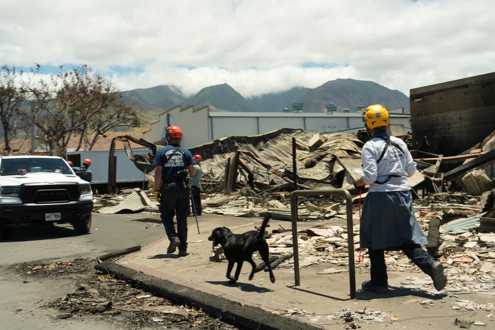 FEMA Urban Search and Rescue Continues Maui Wildfire Response Efforts