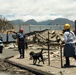 FEMA Urban Search and Rescue Continues Maui Wildfire Response Efforts