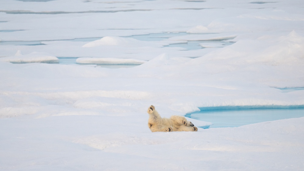 U.S. Coast Guard Cutter Healy conducts science mission in Beaufort Sea