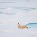 U.S. Coast Guard Cutter Healy conducts science mission in Beaufort Sea