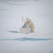 U.S. Coast Guard Cutter Healy conducts science mission in Beaufort Sea