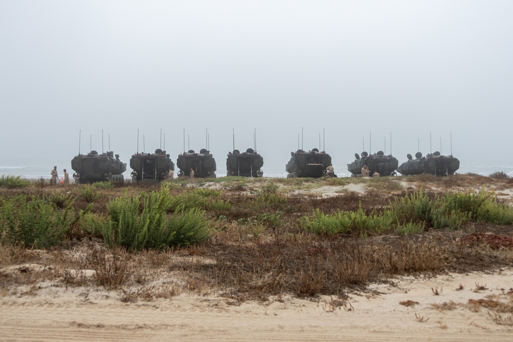 Enhancing Marine Corps Capabilities: New ACV training courses