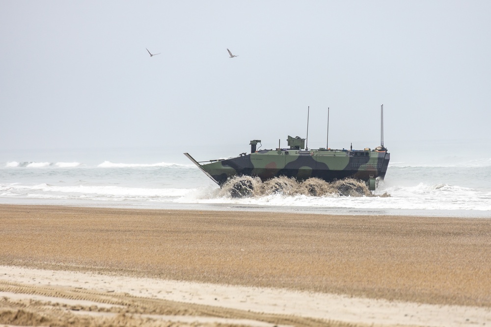 Enhancing Marine Corps Capabilities: New ACV training courses