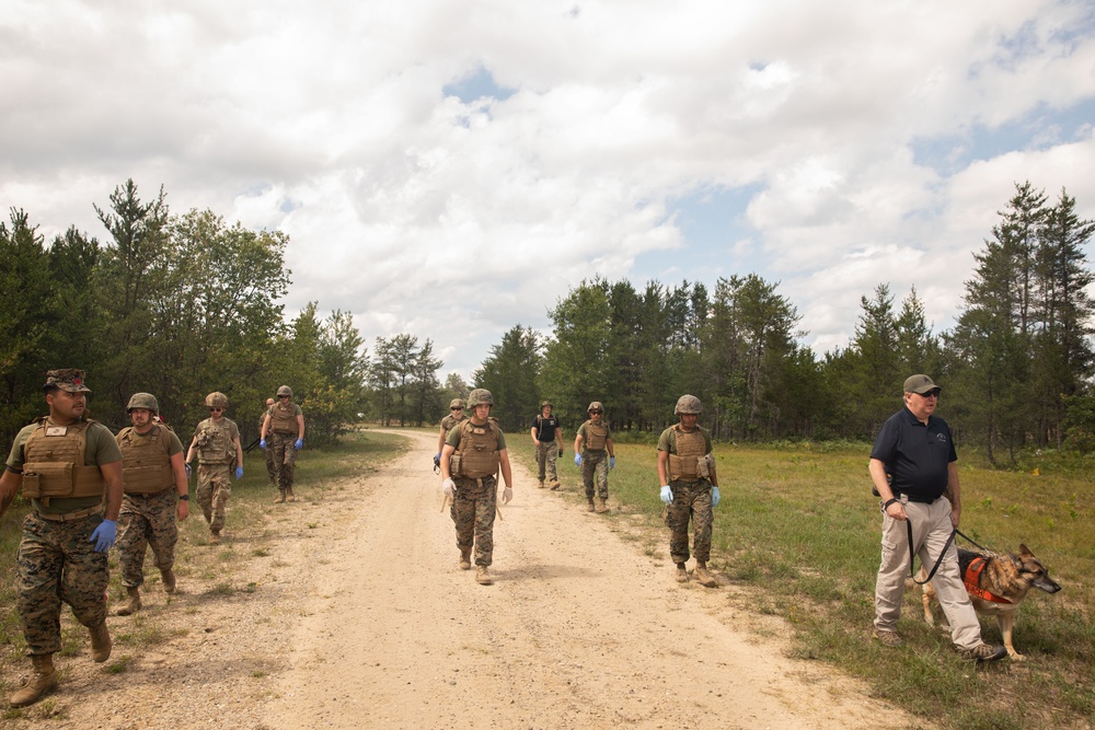 Marines practice search and retrieval operations alongside civilian search team during Northern Strike 2023