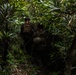Jungle Leaders Course: Jungle Patrolling