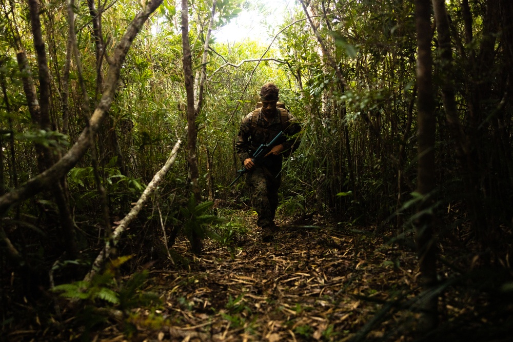 Jungle Leaders Course: Jungle Patrolling