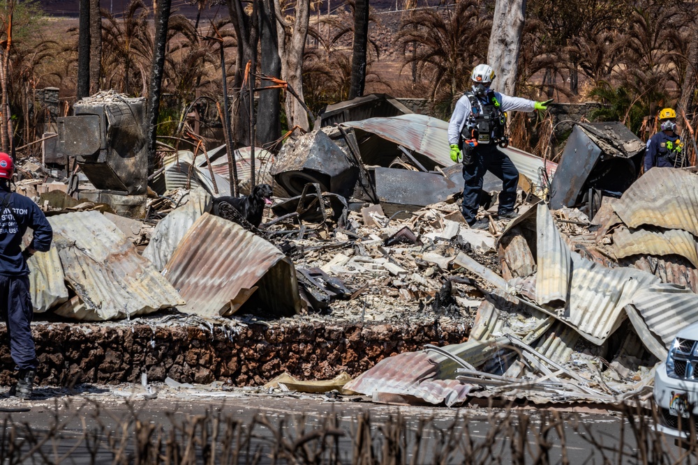 JTF-50 Command Visits Maui Wildfire Devastation