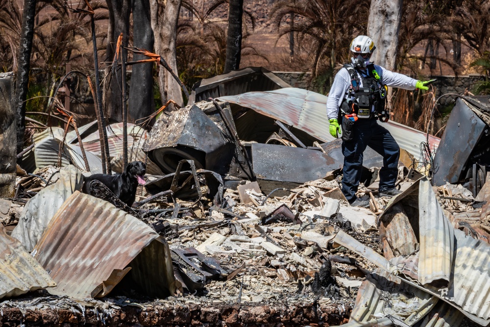 JTF-50 Command Visits Maui Wildfire Devastation