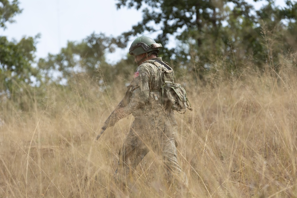 Turkish Patrol