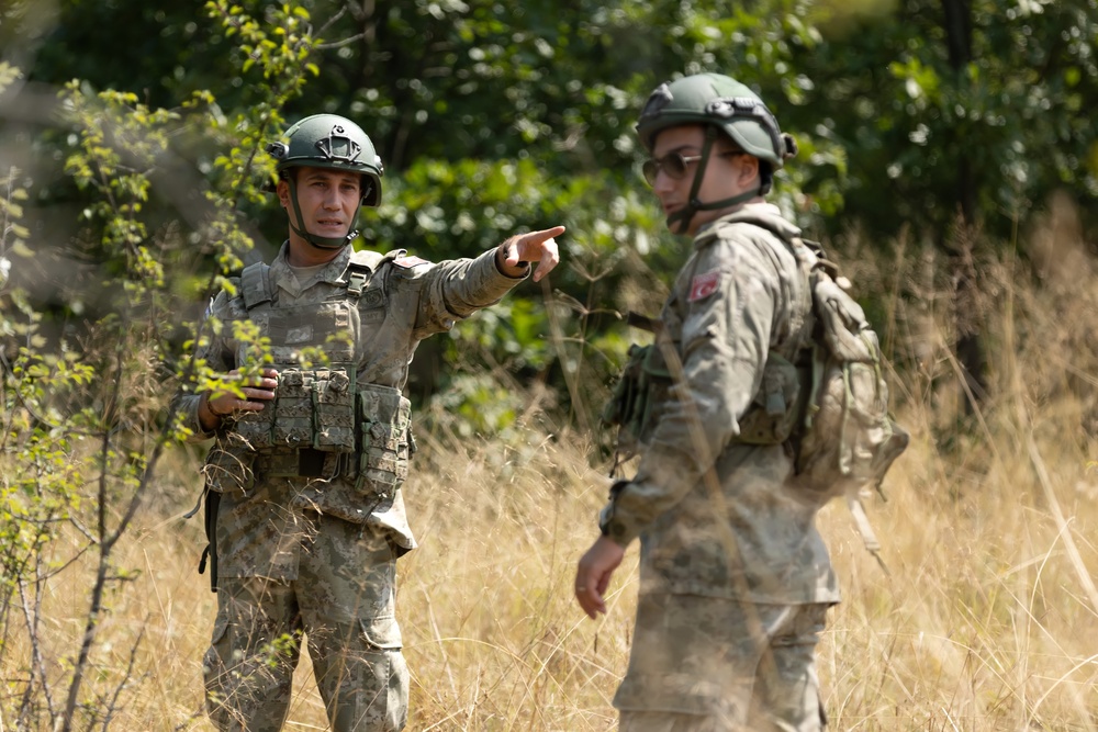 Turkish Patrol