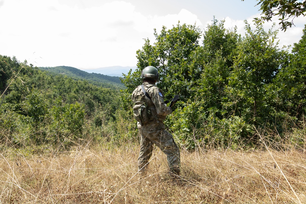 Turkish Patrol