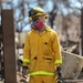 JTF-50 elements engaged in search, recovery, response after Maui wildfires