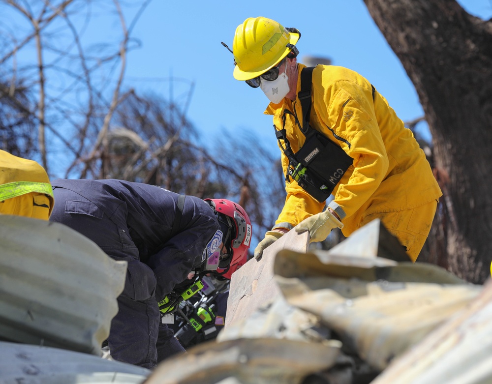 JTF-50 elements engaged in search, recovery, response after Maui wildfires