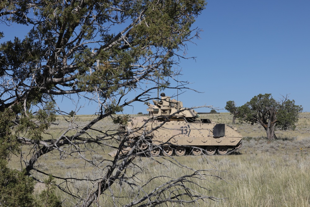 Strengthening Readiness Through Troop Combined Arms Live Fire