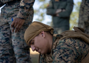 Marines and Sailors practice mass casualty evacuation drills