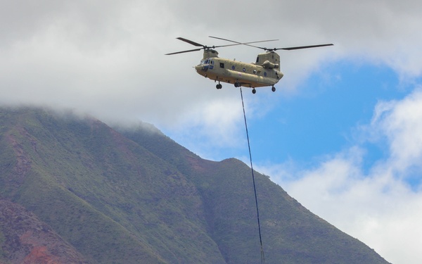 Operation Ola Hou elements engaged in search, recovery, response after Maui wildfires