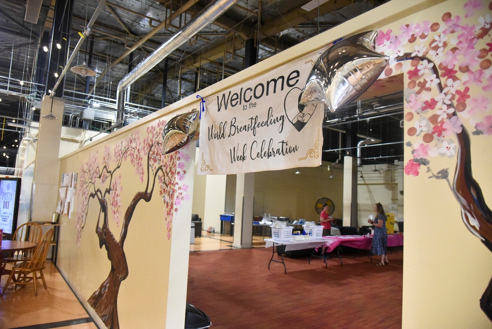 Breastfeeding Awareness Fair at Misawa Air Base