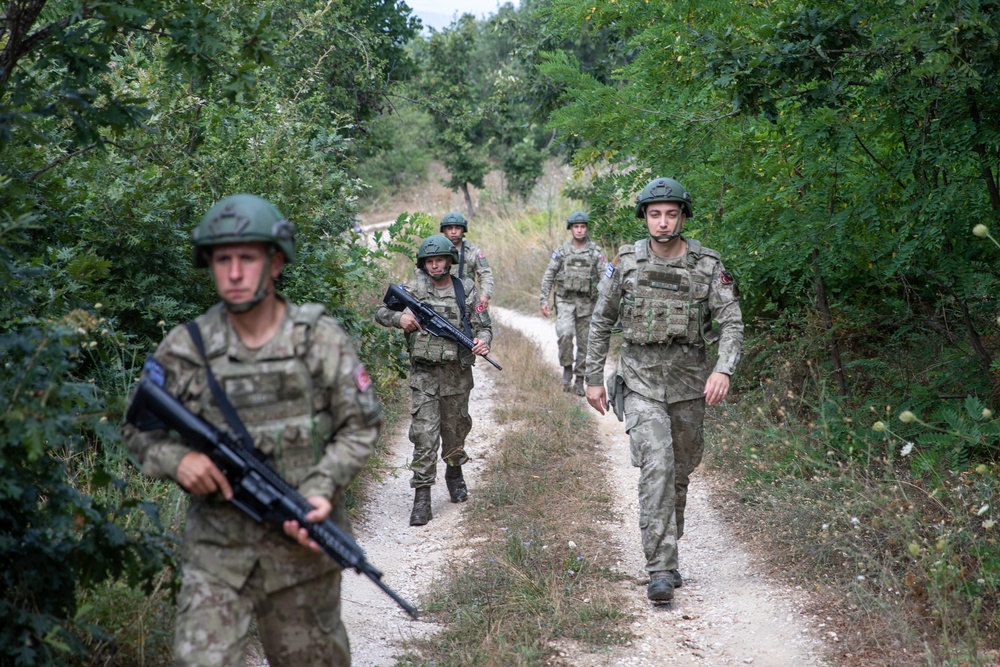 Turkish Patrol