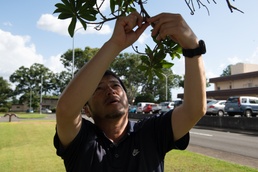 374 CES tree engineer at the ‘root’ of Yokota ecosystem