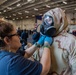 CBR Equipment Fit Test Aboard CVN 73