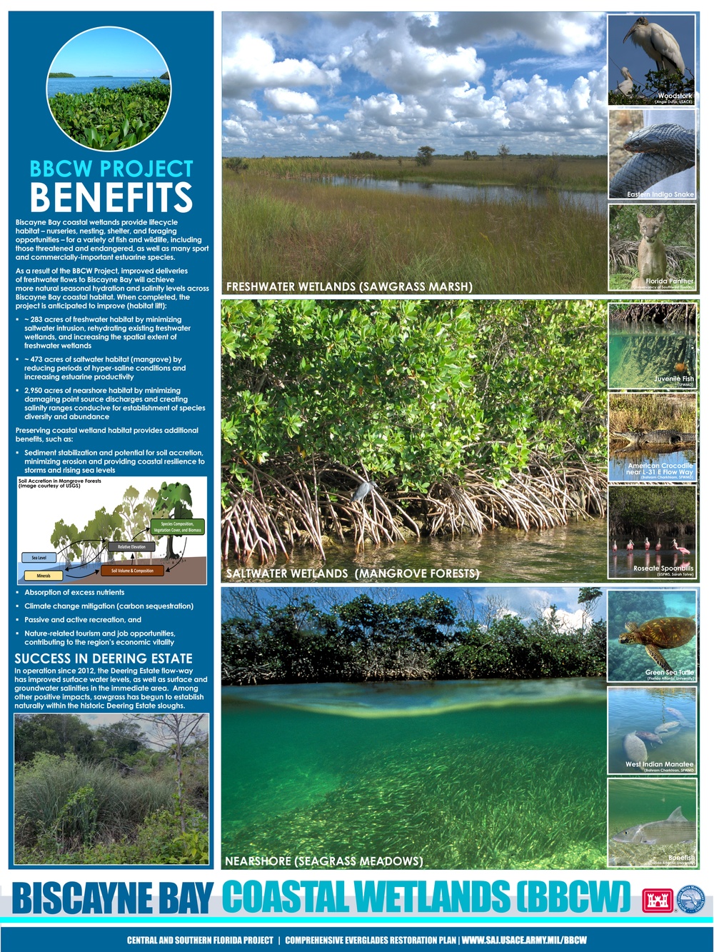 Biscayne Bay Coastal Wetlands Project| Benefits Poster