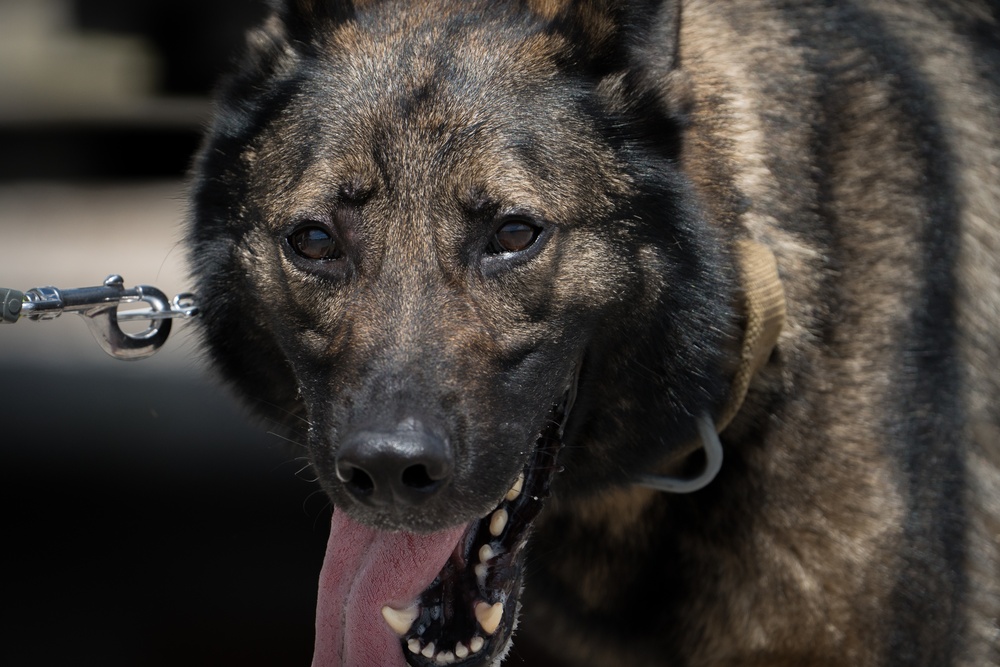 6th SFS conducts MWD drug detection test