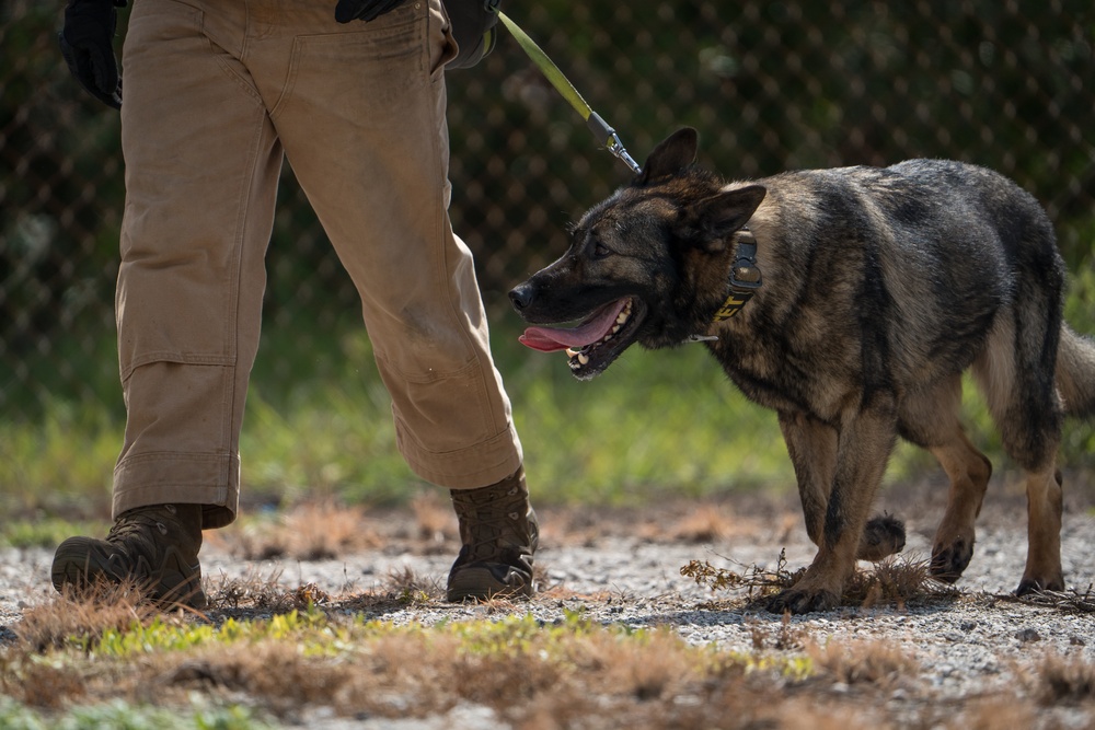 6th SFS conducts MWD drug detection test