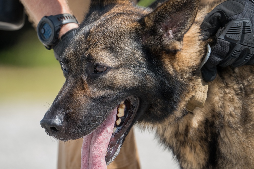 6th SFS conducts MWD drug detection test