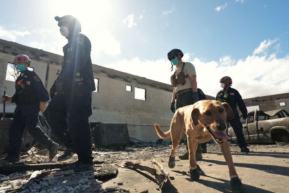 Dvids Images Fema Continues Urban Search And Rescue For Hawaii