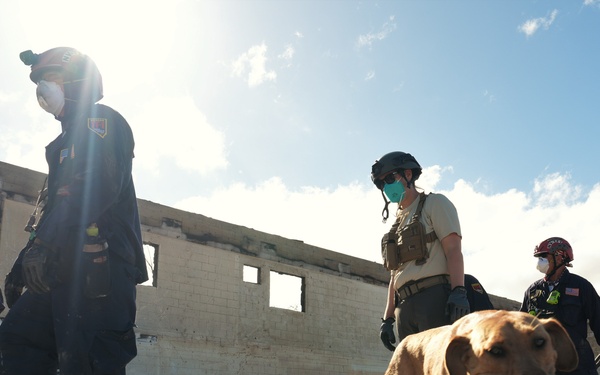 FEMA Continues Urban Search and Rescue for Hawaii Wildfires