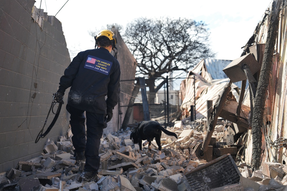 FEMA Continues Urban Search and Rescue for Hawaii Wildfires