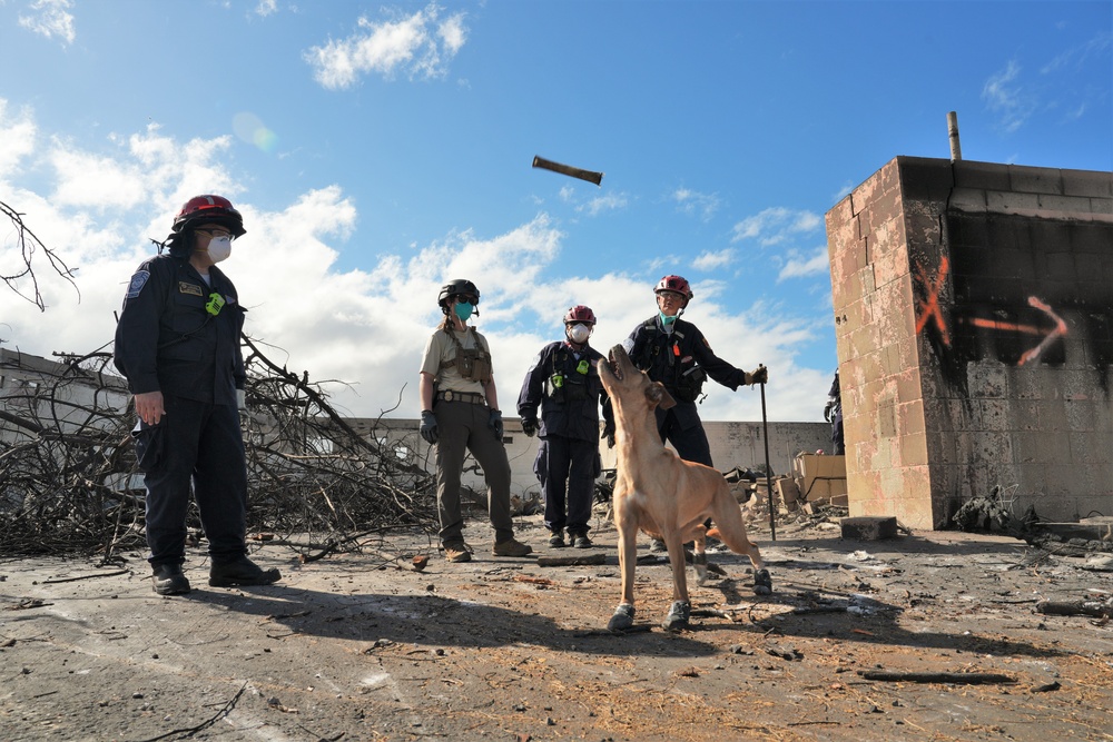 FEMA Continues Urban Search and Rescue for Hawaii Wildfires