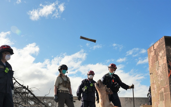 FEMA Continues Urban Search and Rescue for Hawaii Wildfires