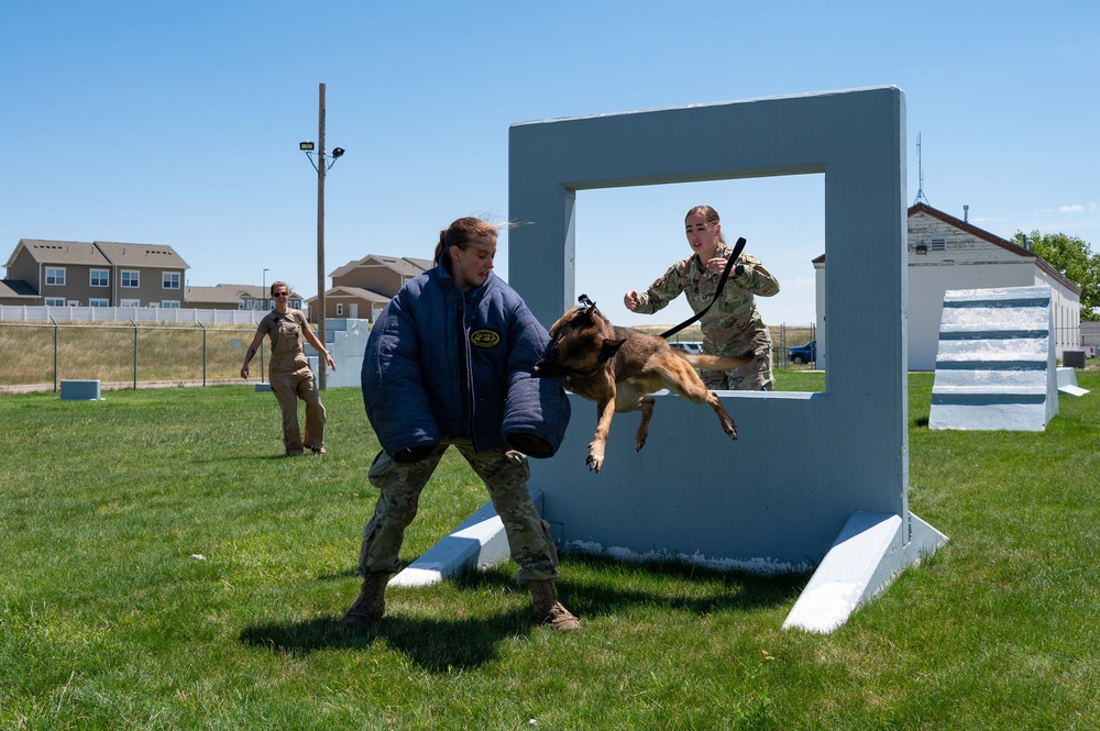 90 SFS MWD training