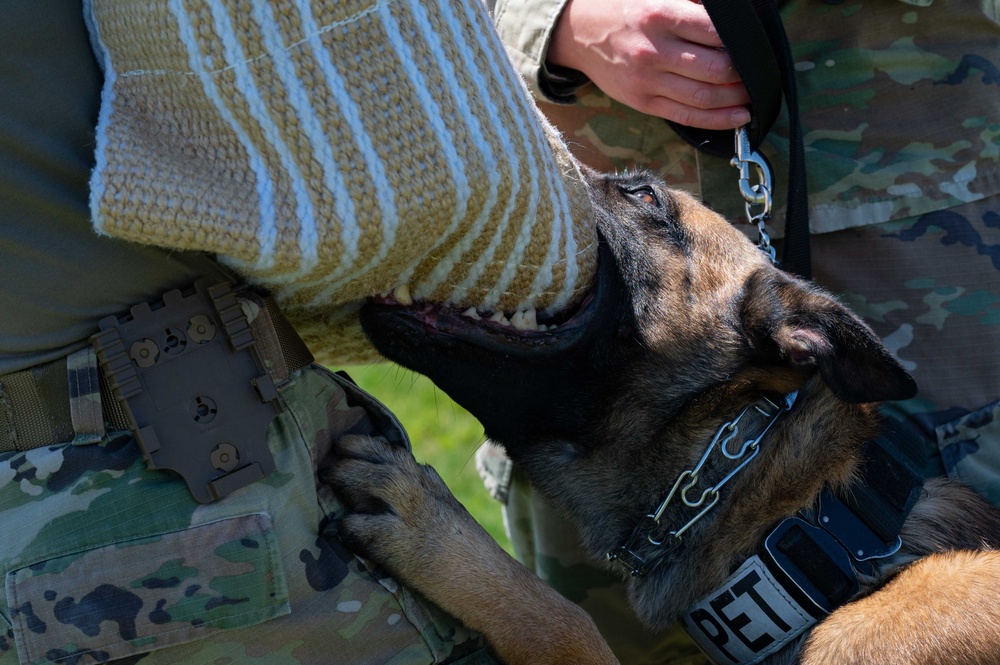 90 SFS MWD training