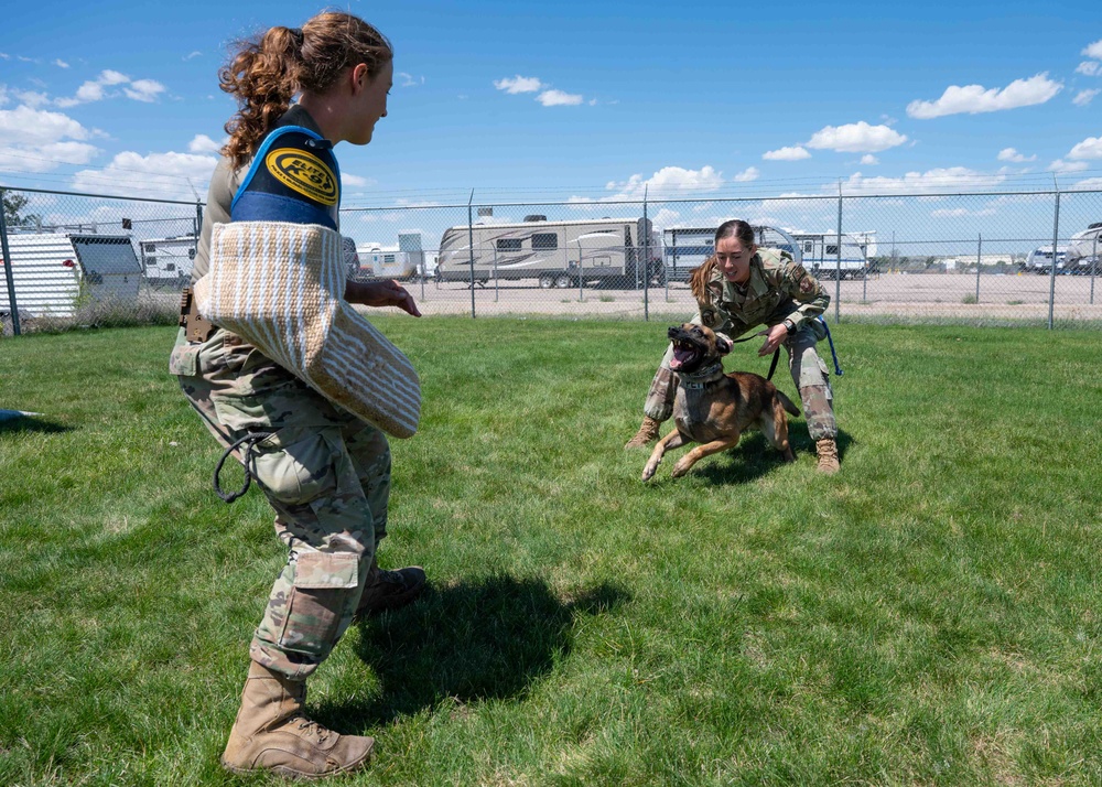 90 SFS MWD training