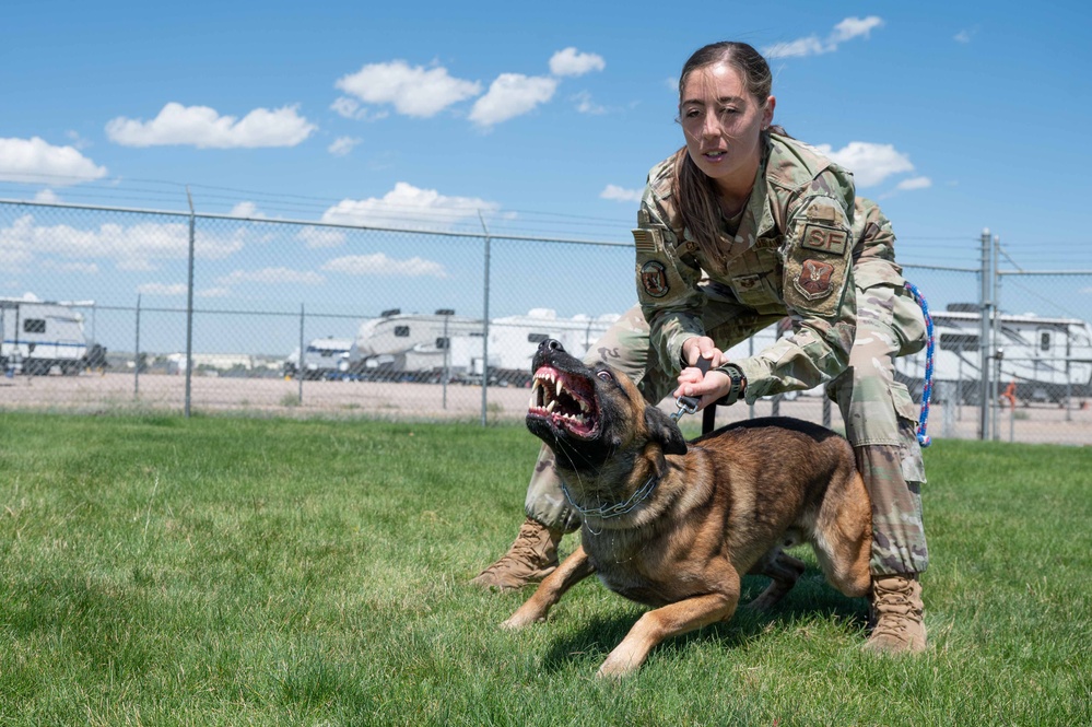 90 SFS MWD training