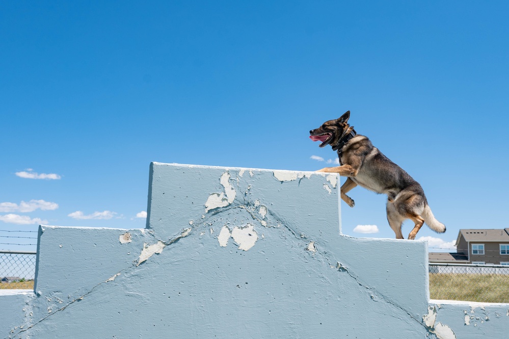 90 SFS MWD training