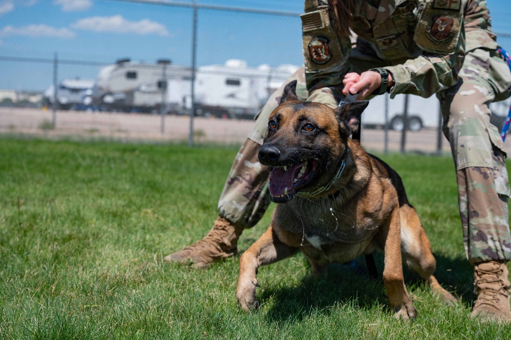 90 SFS MWD training