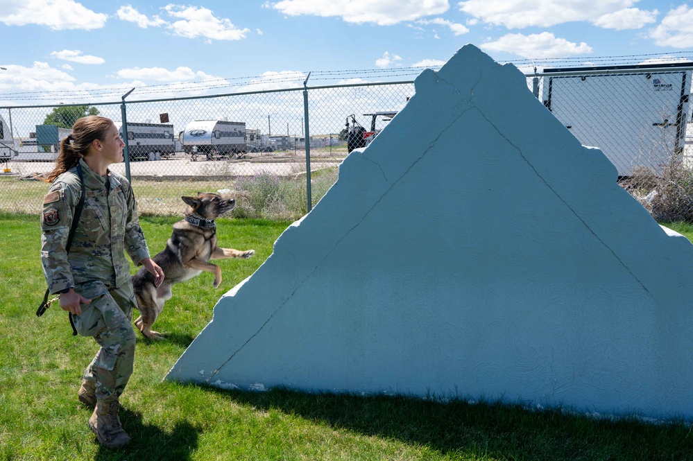90 SFS MWD training